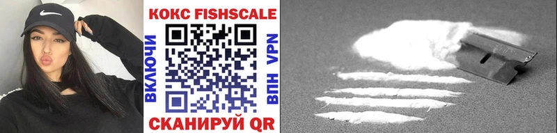 Купить закладки  Фрязино  COCAIN Fish Scale 