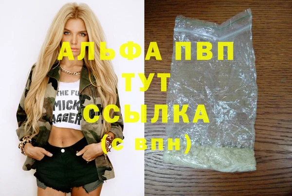 спиды Белокуриха