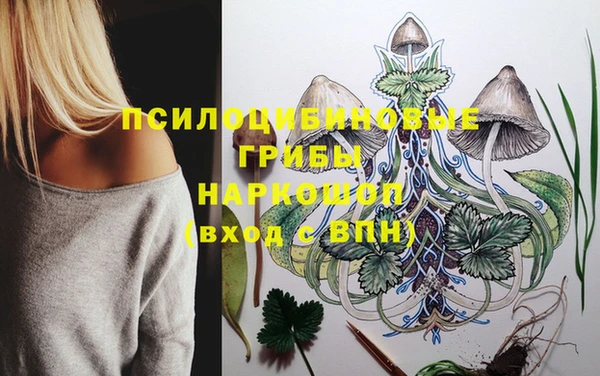 спиды Белокуриха