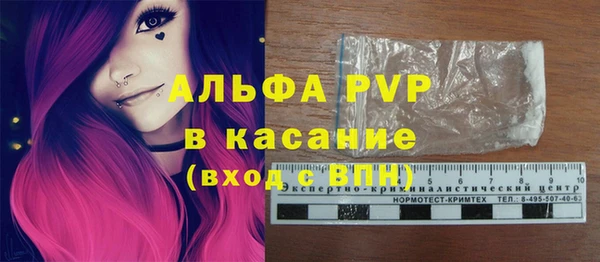 спиды Белокуриха