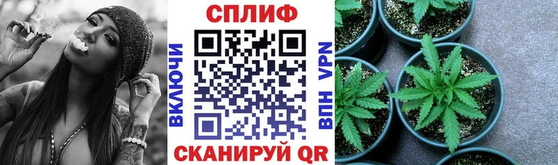 Конопля Amnesia  Купить закладки  Фрязино 